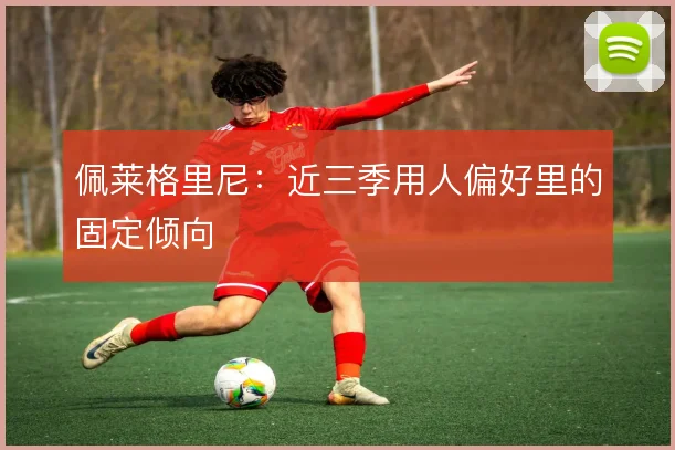 佩莱格里尼：近三季用人偏好里的固定倾向