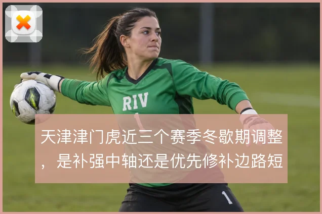 天津津门虎近三个赛季冬歇期调整,是补强中轴还是优先修补边路短板