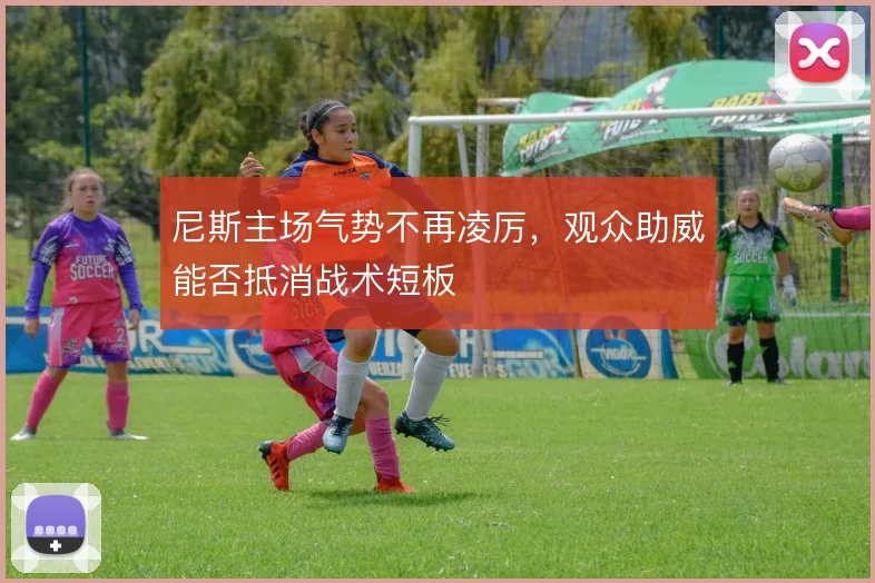 尼斯主场气势不再凌厉,观众助威能否抵消战术短板
